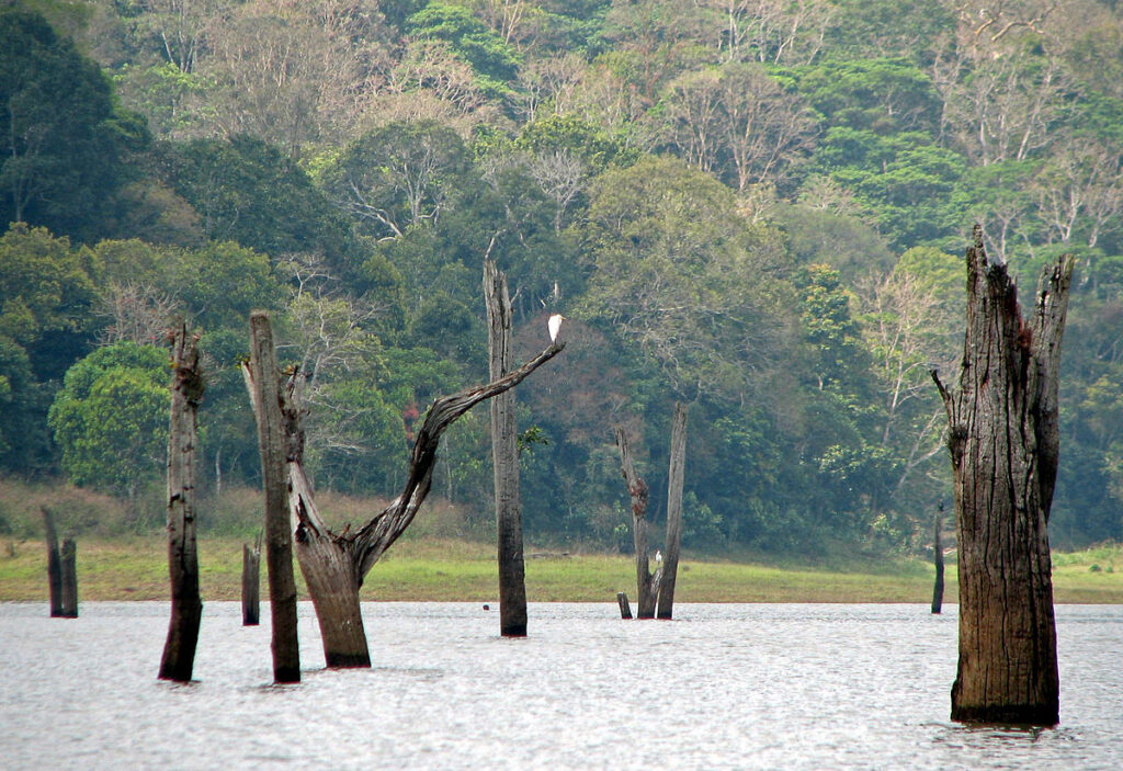 Guru Ghasidas National Park – Complete detail