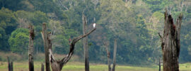 Guru Ghasidas National Park – Complete detail