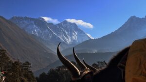 Best time to visit Nepal in 2021