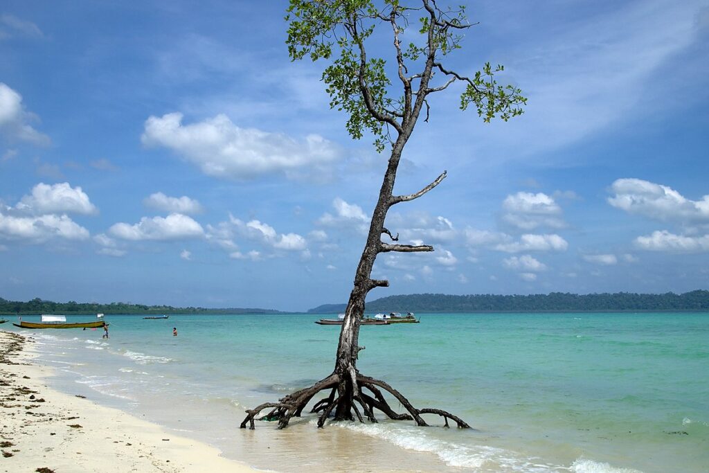 Andaman and Nicobar Islands - Best time to visit in 2021