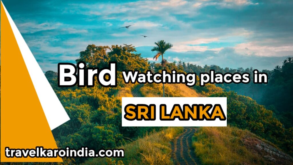 Bird watching places in Sri Lanka