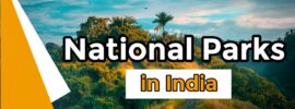 National Parks in India