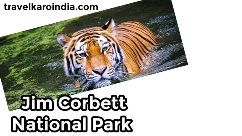 Jim Corbett National Park