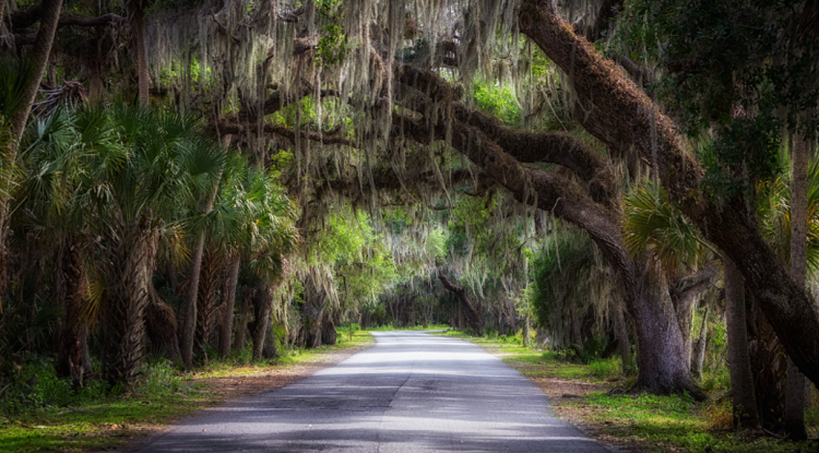 07 Best Camping in Florida